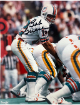 Bob Griese signed Miami Dolphins NFL Licensed 8x10 Photo- Tuff Stuff COA